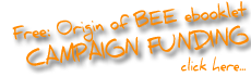 Campaign Fundraiser